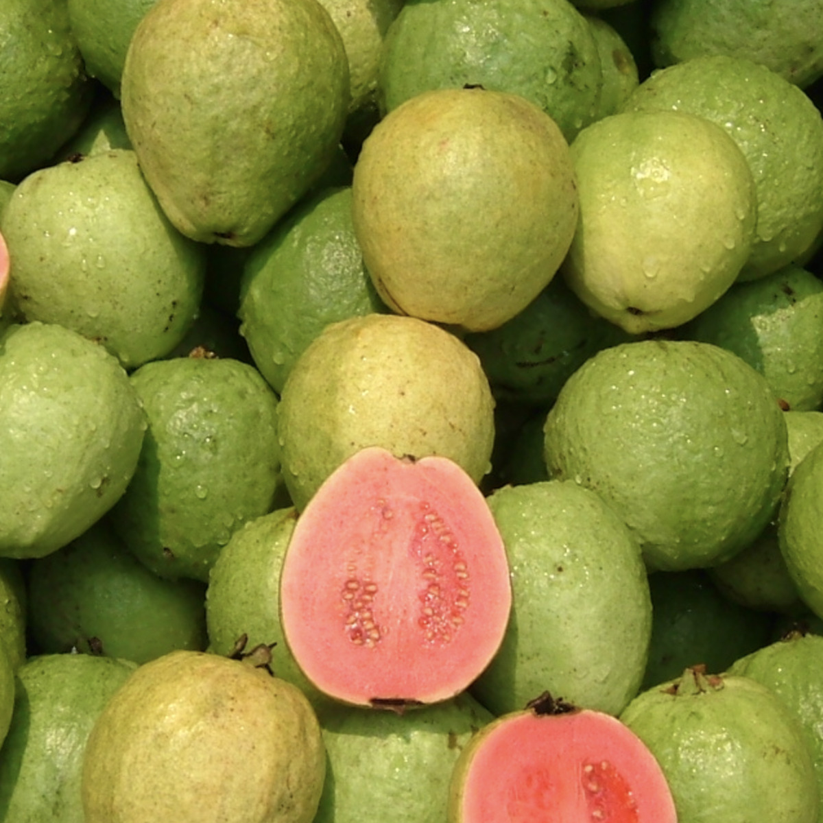 guayaba 3.png